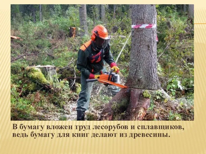 В бумагу вложен труд лесорубов и сплавщиков, ведь бумагу для книг делают из древесины.