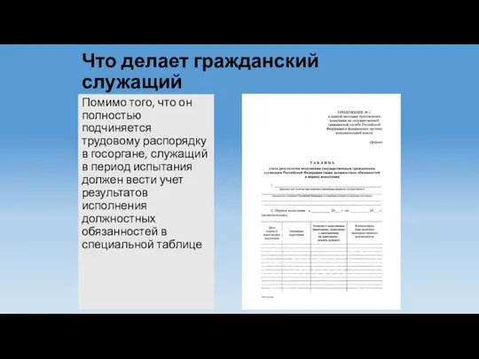 Что делает гражданский служащий Помимо того, что он полностью подчиняется трудовому