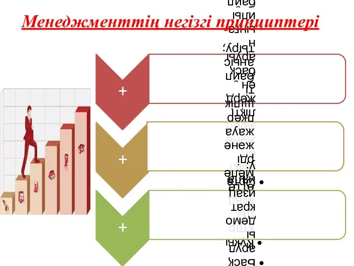 Менеджменттің негізгі принциптері