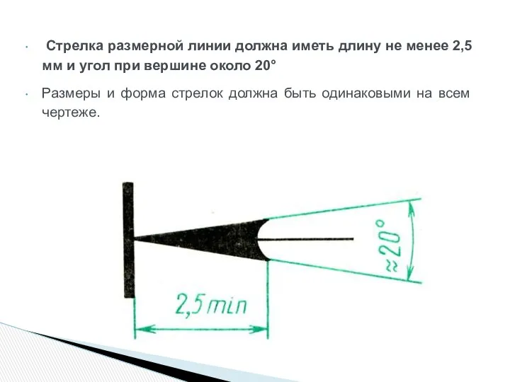 Стрелка размерной линии должна иметь длину не менее 2,5 мм и