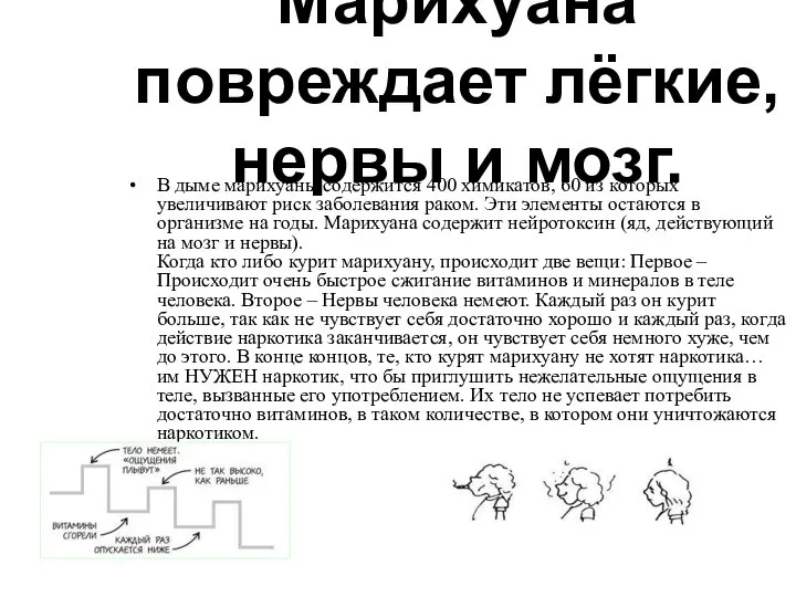 Марихуана повреждает лёгкие, нервы и мозг. В дыме марихуаны содержится 400