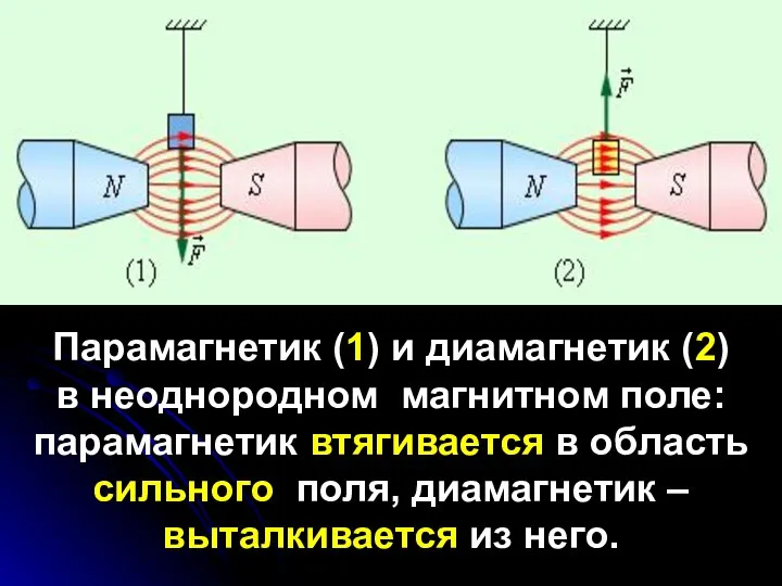 Парамагнетик (1) и диамагнетик (2) в неоднородном магнитном поле: парамагнетик втягивается