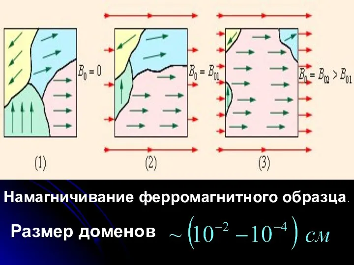 Намагничивание ферромагнитного образца. Размер доменов