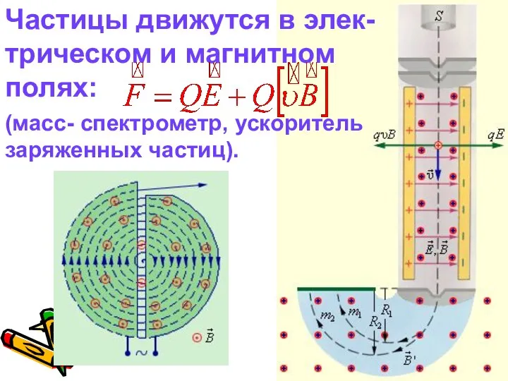 Частицы движутся в элек-трическом и магнитном полях: (масс- спектрометр, ускоритель заряженных частиц).