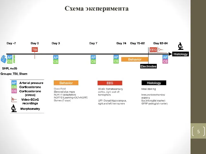 Схема эксперимента