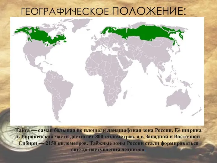 ГЕОГРАФИЧЕСКОЕ ПОЛОЖЕНИЕ: Тайга — самая большая по площади ландшафтная зона России.