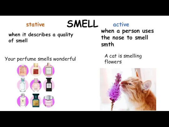 SMELL when it describes a quality of smell when a person