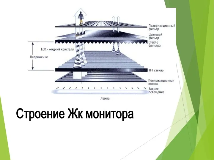 Строение Жк монитора