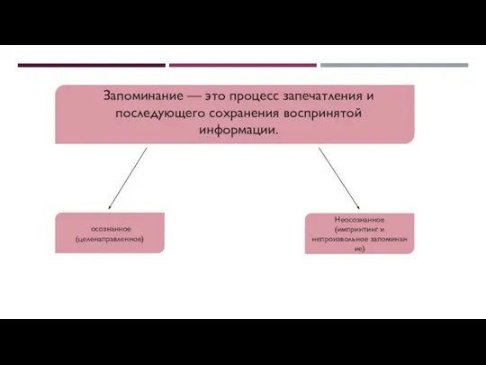 Запоминание — это процесс запечатления и последующего сохранения воспринятой информации. осознанное