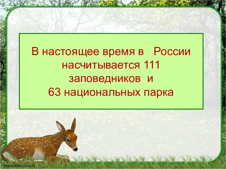 В настоящее время в России насчитывается 111 заповедников и 63 национальных парка