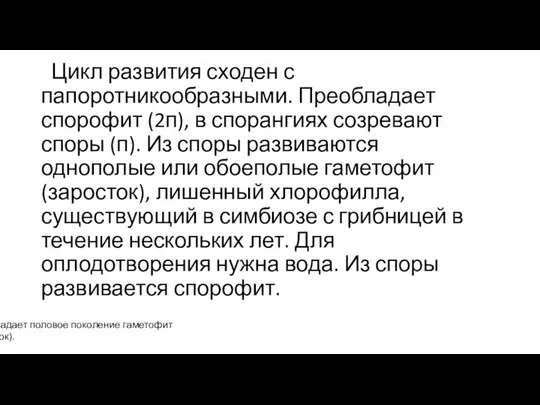 Цикл развития сходен с папоротникообразными. Преобладает спорофит (2п), в спорангиях созревают