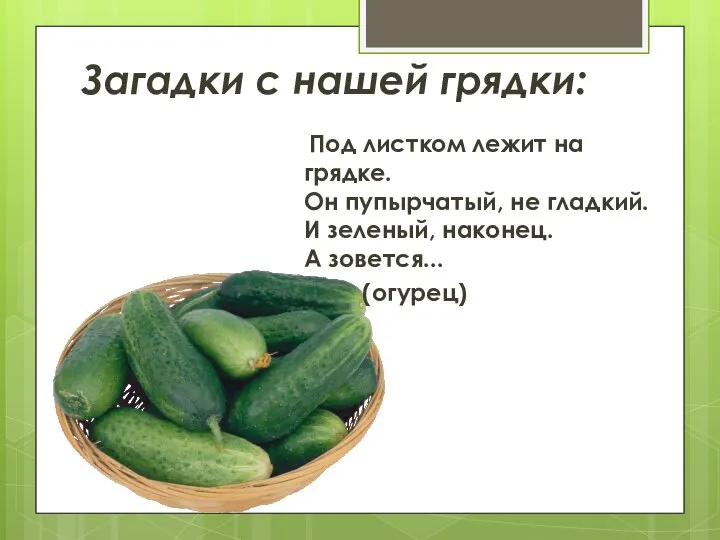 Загадки с нашей грядки: Под листком лежит на грядке. Он пупырчатый,