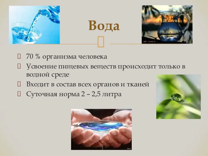 70 % организма человека Усвоение пищевых веществ происходит только в водной