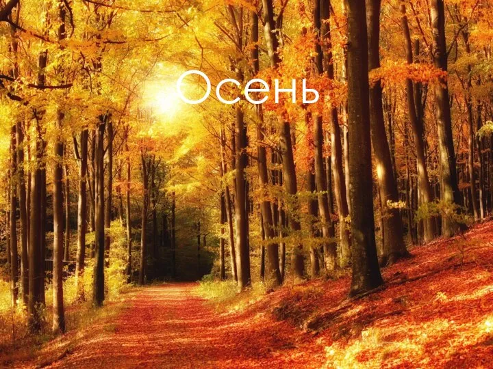 Осень