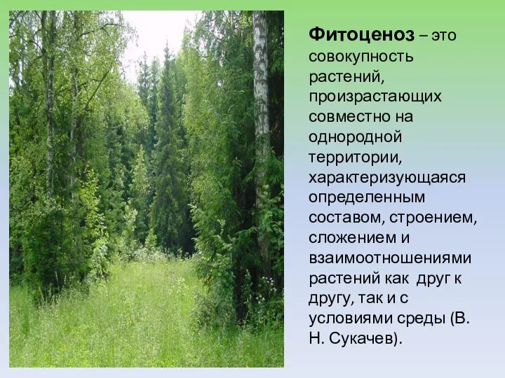 Фитоценоз – это совокупность растений, произрастающих совместно на однородной территории, характеризующаяся