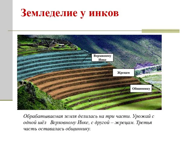 Земледелие у инков Обрабатываемая земля делилась на три части. Урожай с