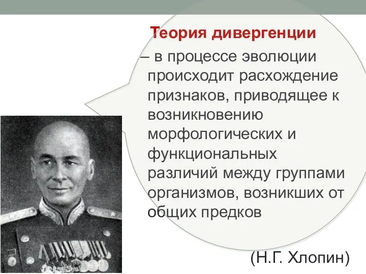 Теория дивергенции – в процессе эволюции происходит расхождение признаков, приводящее к