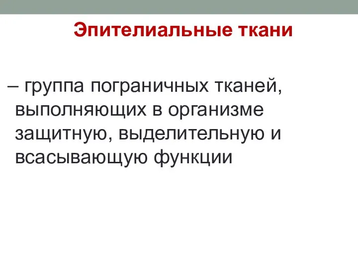 Эпителиальные ткани – группа пограничных тканей, выполняющих в организме защитную, выделительную и всасывающую функции