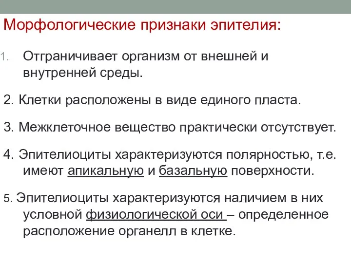 Морфологические признаки эпителия: Отграничивает организм от внешней и внутренней среды. 2.