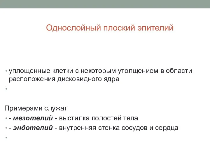 Однослойный плоский эпителий уплощенные клетки с некоторым утолщением в области расположения