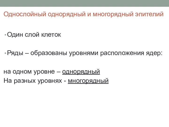 Однослойный однорядный и многорядный эпителий Один слой клеток Ряды – образованы