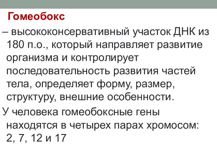 Гомеобокс – высококонсервативный участок ДНК из 180 п.о., который направляет развитие