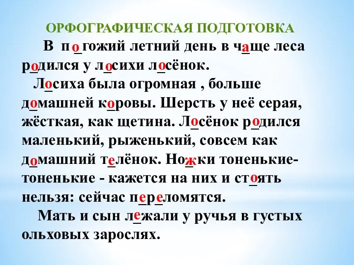 ОРФОГРАФИЧЕСКАЯ ПОДГОТОВКА В п _гожий летний день в ч_ще леса р_дился