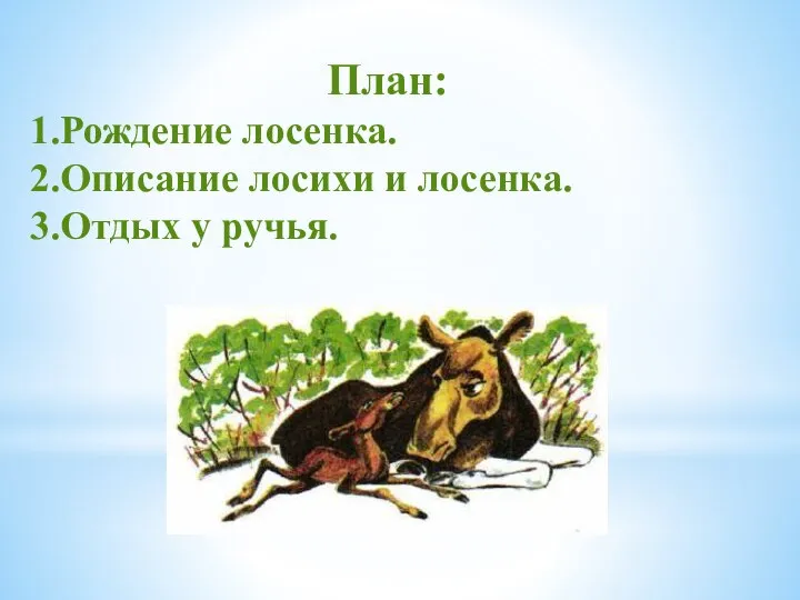 План: 1.Рождение лосенка. 2.Описание лосихи и лосенка. 3.Отдых у ручья.