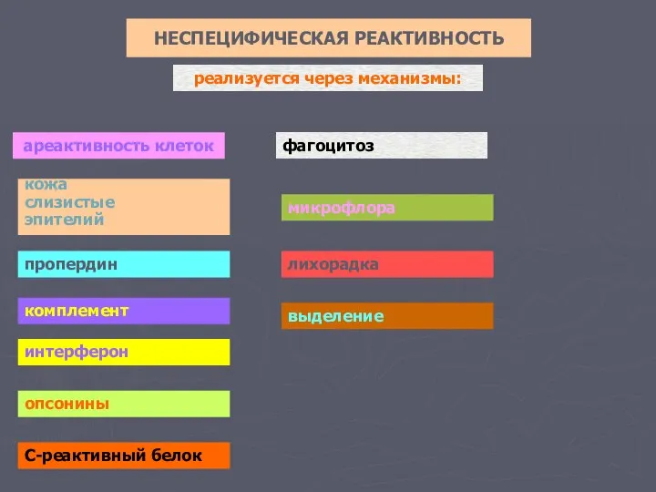 НЕСПЕЦИФИЧЕСКАЯ РЕАКТИВНОСТЬ реализуется через механизмы: ареактивность клеток кожа слизистые эпителий пропердин