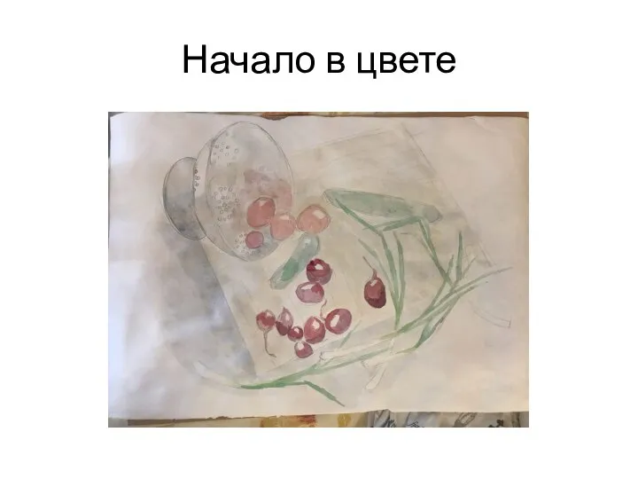 Начало в цвете