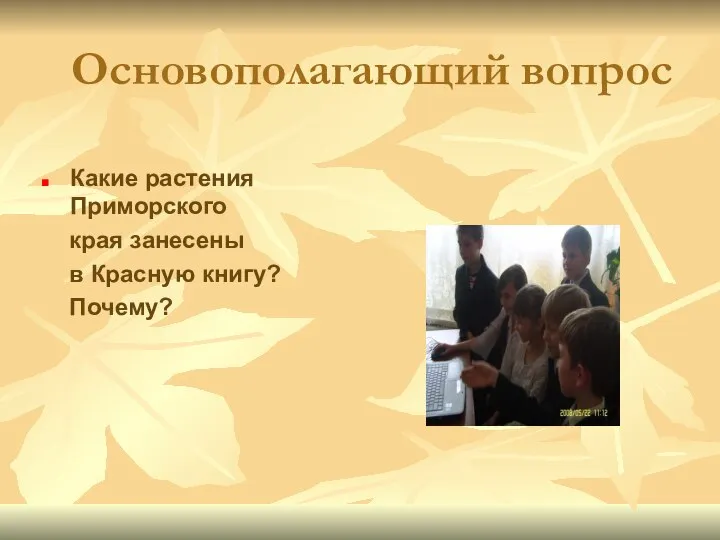 Основополагающий вопрос Какие растения Приморского края занесены в Красную книгу? Почему?