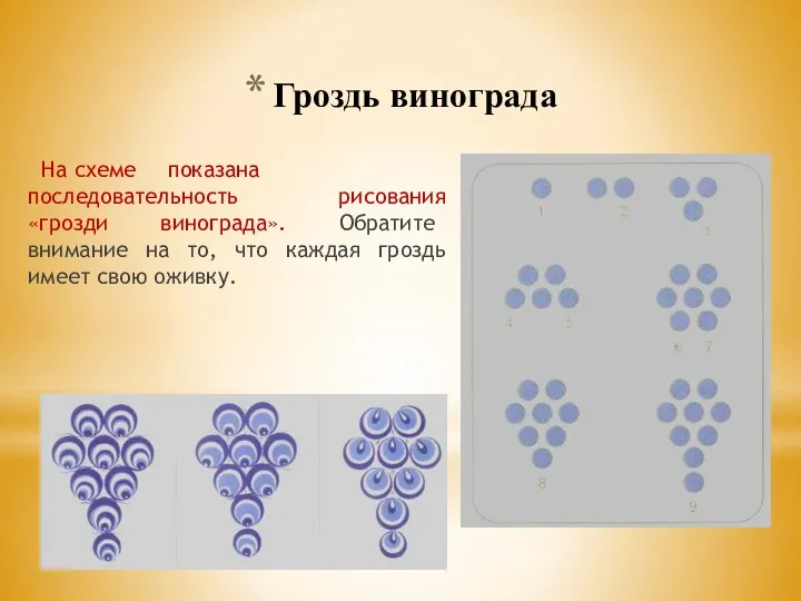 Гроздь винограда На схеме показана последовательность рисования «грозди винограда». Обратите внимание