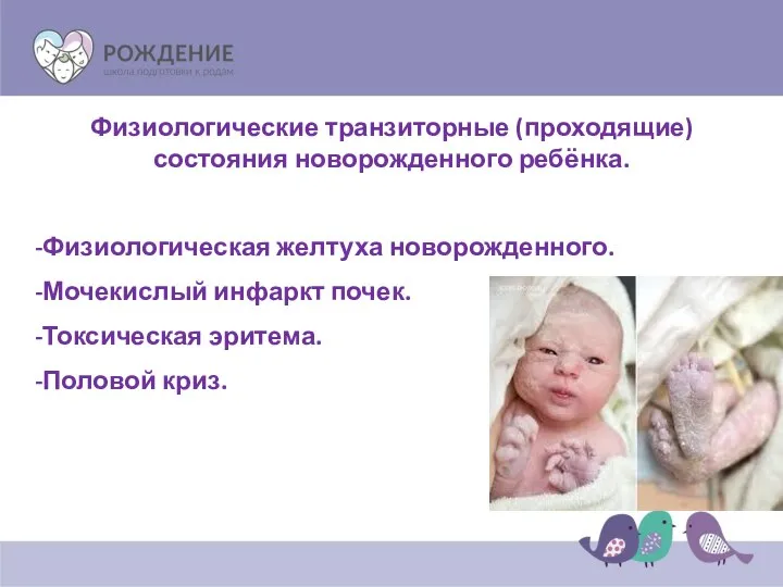 Физиологические транзиторные (проходящие) состояния новорожденного ребёнка. Физиологическая желтуха новорожденного. Мочекислый инфаркт
