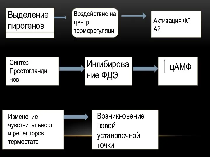 Выделение пирогенов Воздействие на центр терморегуляции Активация ФЛ А2 Синтез Простогландинов