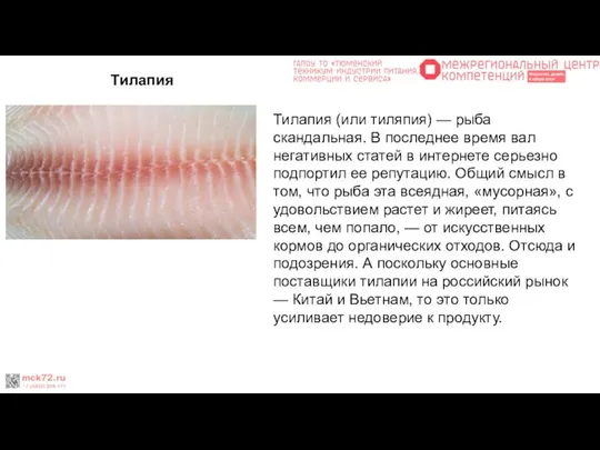 Тилапия Тилапия (или тиляпия) — рыба скандальная. В последнее время вал