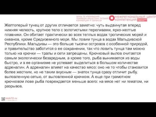 Желтоперый тунец от других отличается заметно: чуть выдвинутая вперед нижняя челюсть,