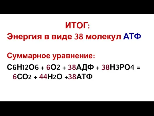 ИТОГ: Энергия в виде 38 молекул АТФ Суммарное уравнение: С6Н12О6 +