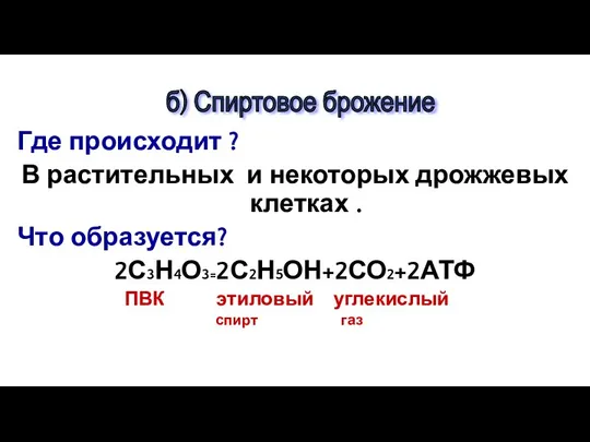 Где происходит ? В растительных и некоторых дрожжевых клетках . Что