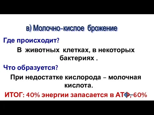 Где происходит? В животных клетках, в некоторых бактериях . Что образуется?