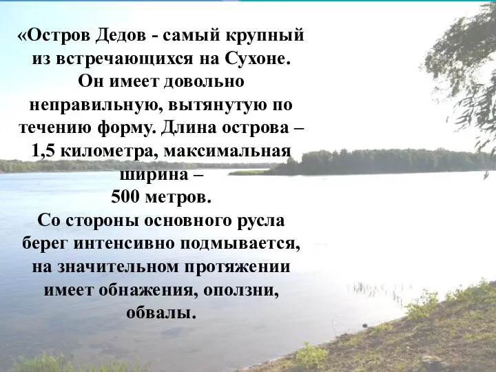 «Остров Дедов - самый крупный из встречающихся на Сухоне. Он имеет