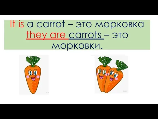 It is a carrot – это морковка they are carrots – это морковки.