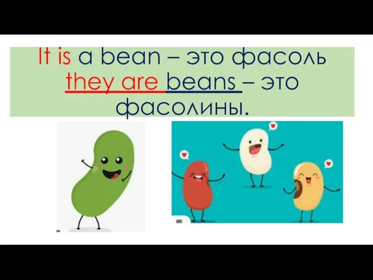 It is a bean – это фасоль they are beans – это фасолины.