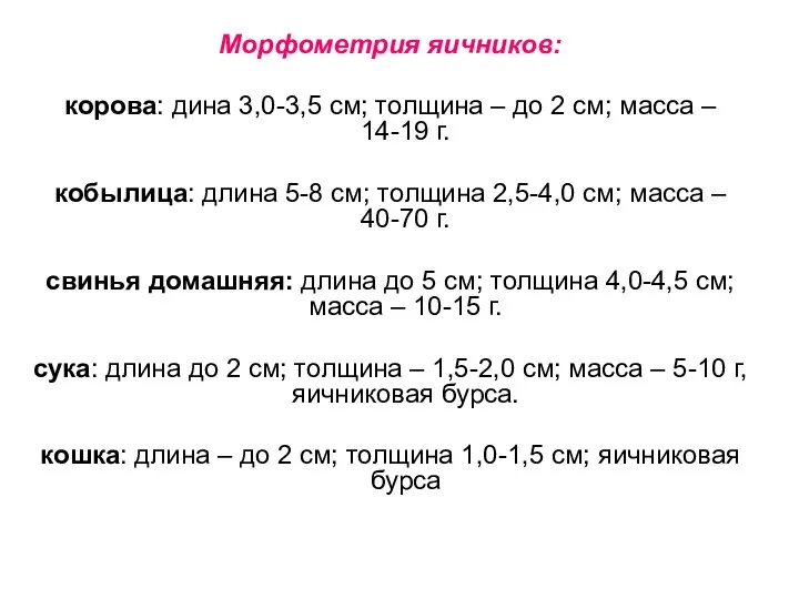 Морфометрия яичников: корова: дина 3,0-3,5 см; толщина – до 2 см;