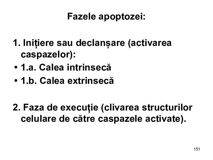 Fazele apoptozei: 1. Inițiere sau declanșare (activarea caspazelor): 1.a. Calea intrinsecă