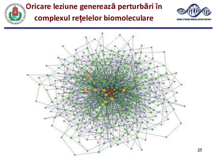 Oricare leziune generează perturbări în complexul rețelelor biomoleculare