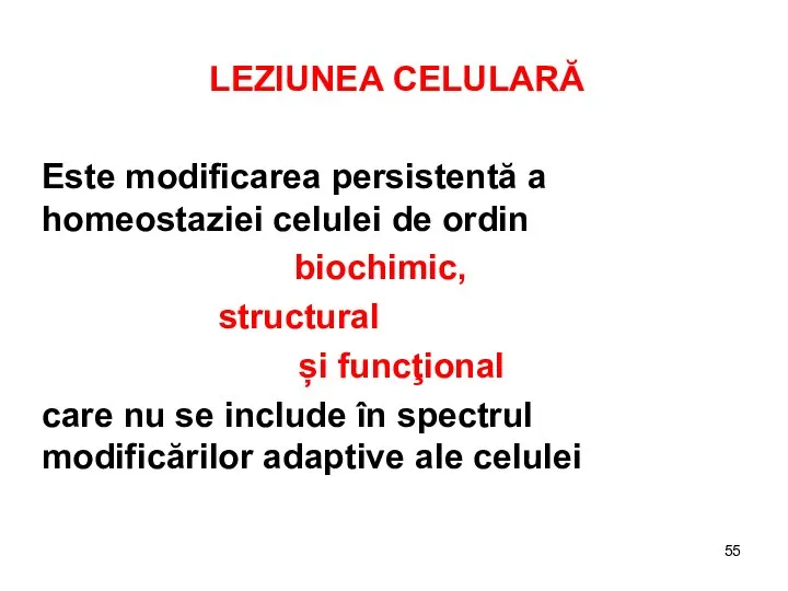 LEZIUNEA CELULARĂ Este modificarea persistentă a homeostaziei celulei de ordin biochimic,