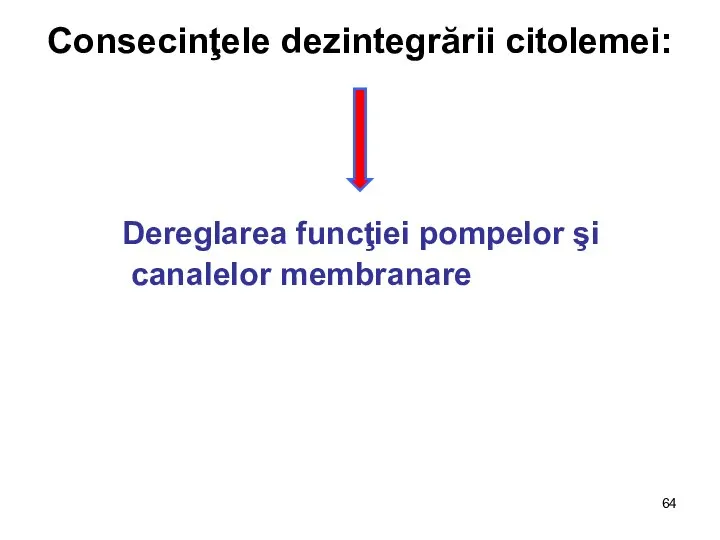 Consecinţele dezintegrării citolemei: Dereglarea funcţiei pompelor şi canalelor membranare