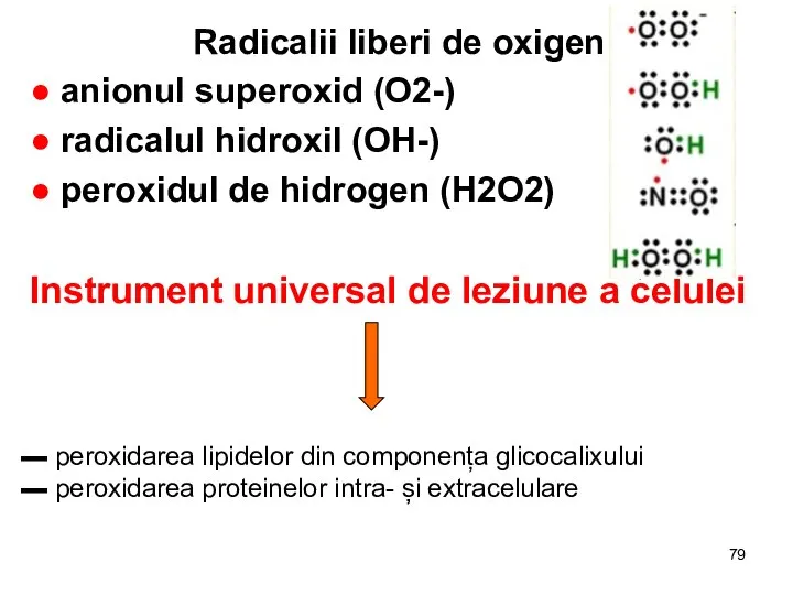 Radicalii liberi de oxigen ● anionul superoxid (O2-) ● radicalul hidroxil