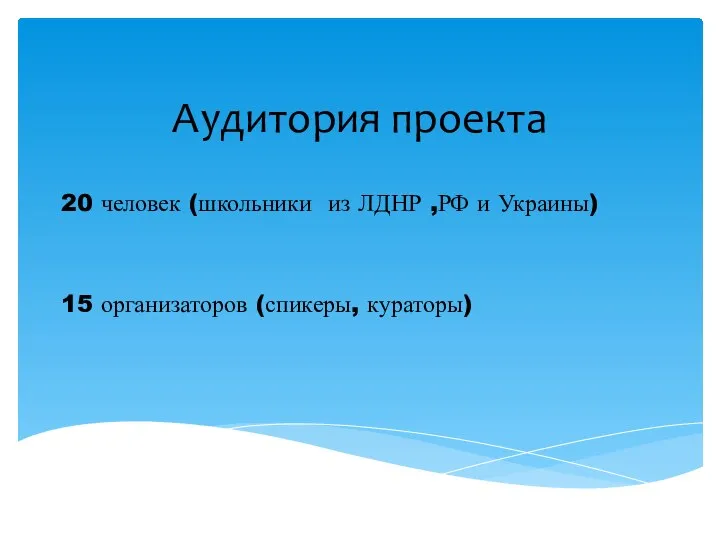 Аудитория проекта 20 человек (школьники из ЛДНР ,РФ и Украины) 15 организаторов (спикеры, кураторы)