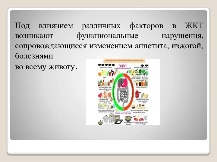 Под влиянием различных факторов в ЖКТ возникают функциональные нарушения, сопровождающиеся изменением